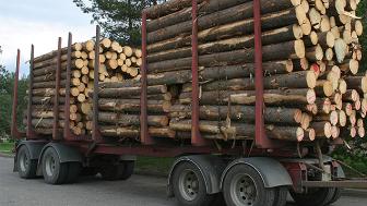 Raportti: Sahatavaran vienti vahvaa, puurakentaminen kasvaa