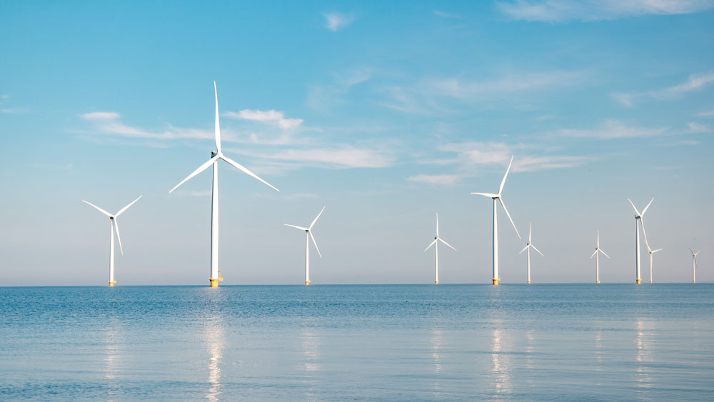Offshore wind farm, several wind turbines in the open sea