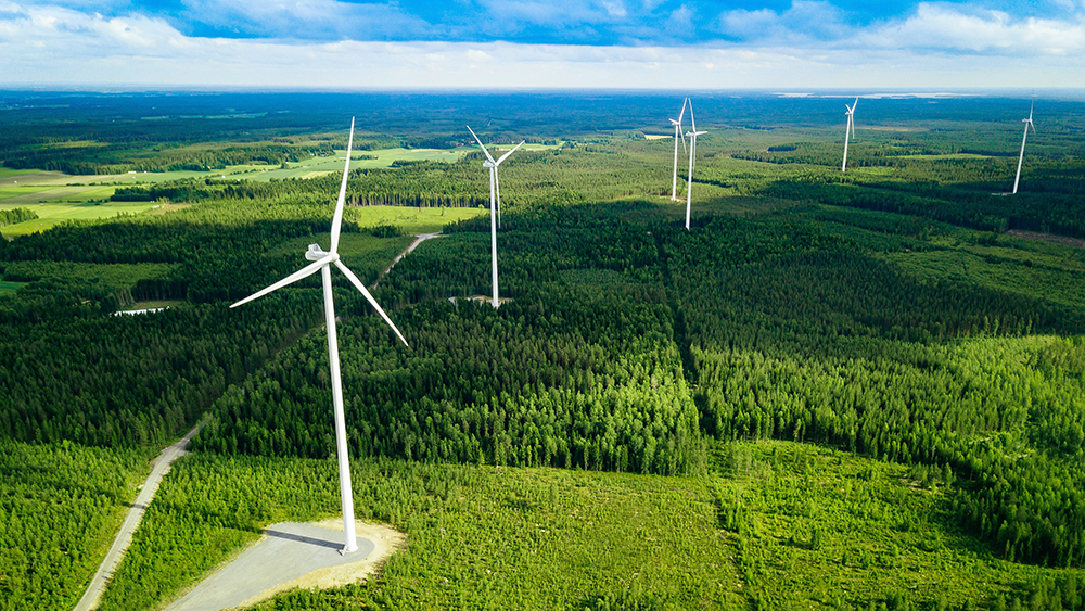 Wind farm in the forest