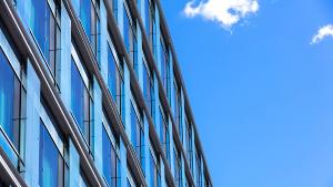 Report: Diverse, responsible and competent domestic ownership needed to strengthen investments, growth and wellbeing