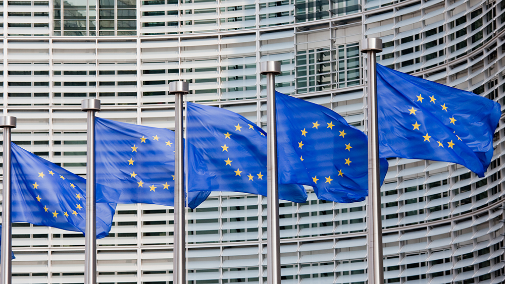 eu-lippuja komissiorakennuksen edessä