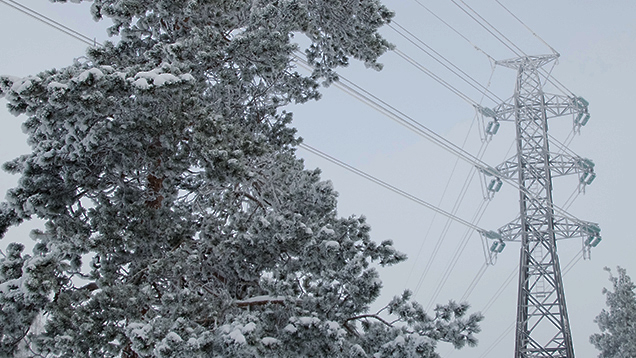 Kuvituskuva. Talvinen metsä, jossa kulkee suurjännitesähkölinja. Linjat ovat kuurassa.