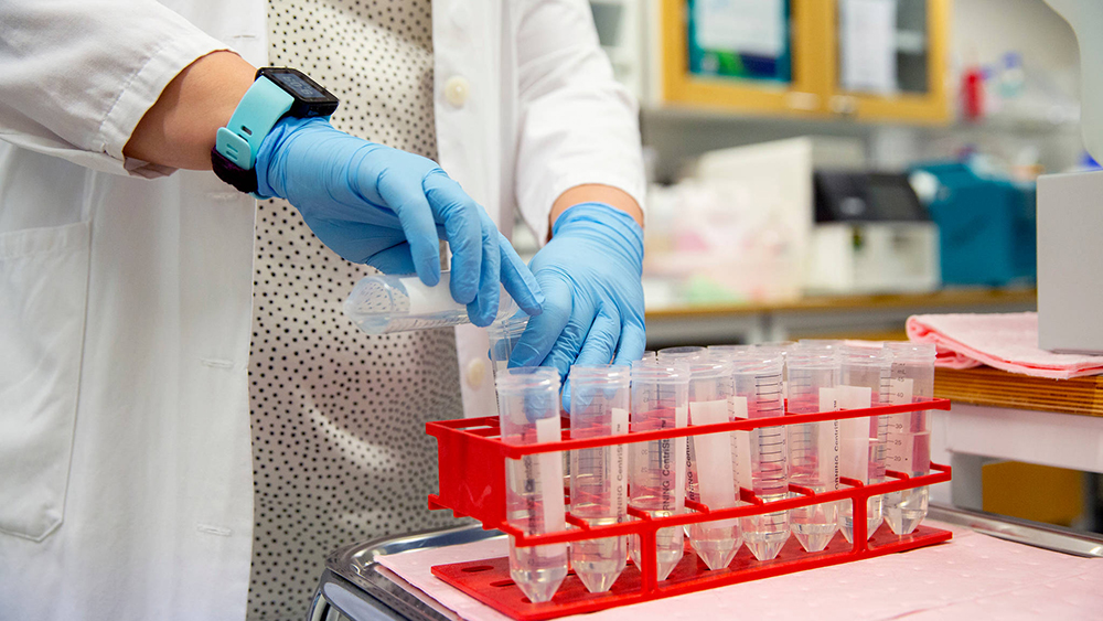 kädet ja laboratoriolaitteita