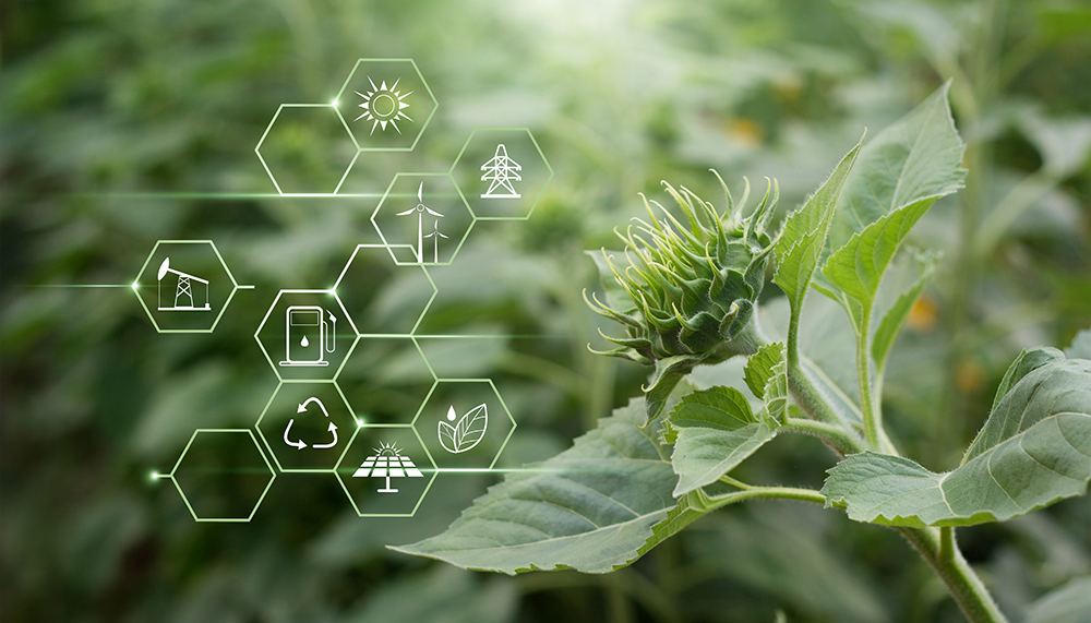 symbolbilder för grön energi