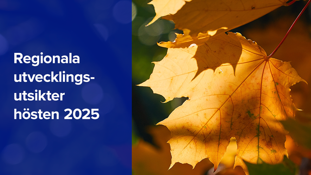 Regionala utvecklingsutsikter hösten 2025