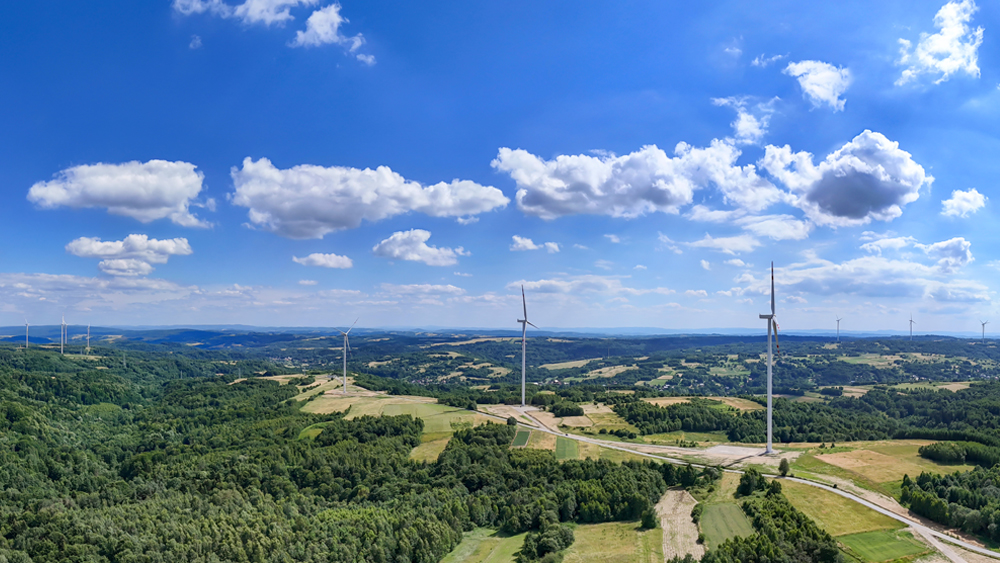 Tuulivoimaloita metsämaisemassa