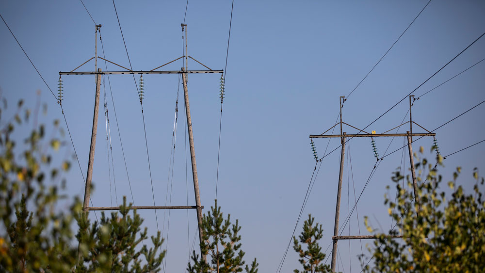 Power line in swampland